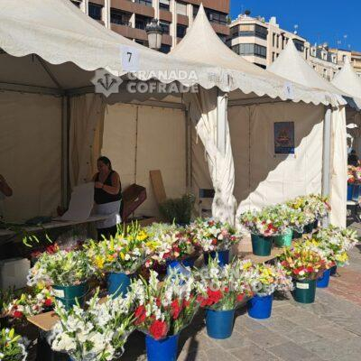 Ofrenda Angustias 2025