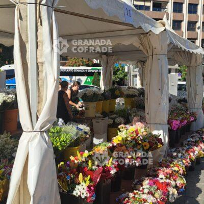 Ofrenda Angustias 2025