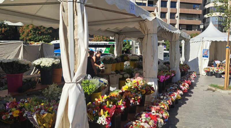 Ofrenda Angustias 2025